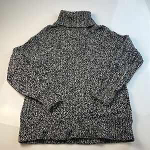 Everlane Wool Knit Turtleneck Sweater S60-10